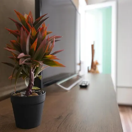Apartment Serbona