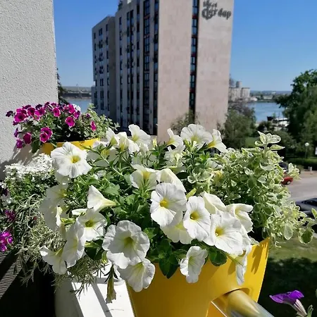 Apartment Serbona